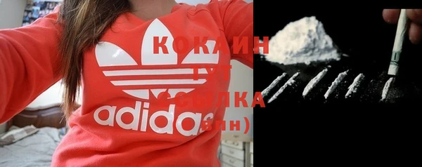 гидропоника Карталы