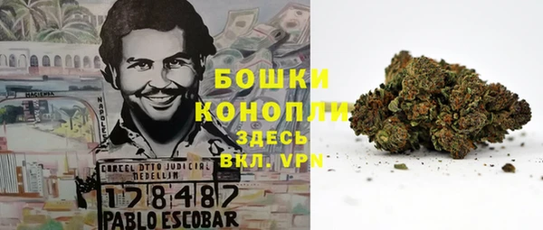spice Алагир
