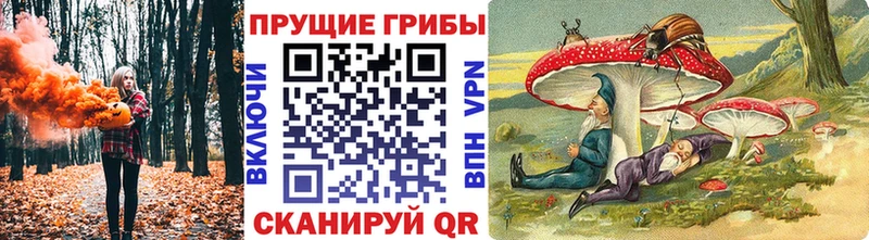 Галлюциногенные грибы Magic Shrooms Купить Болохово